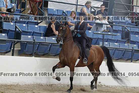 Proof Number 10r14_0954