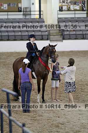 Proof Number 10r14_0956