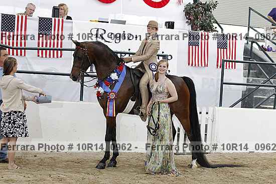 Proof Number 10r14_0962