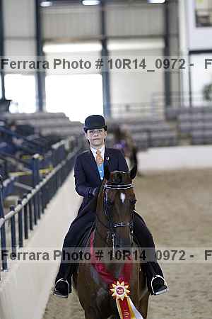 Proof Number 10r14_0972