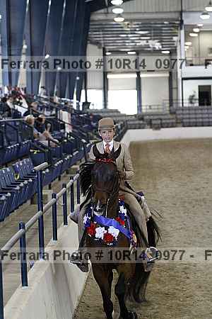 Proof Number 10r14_0977