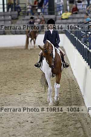 Proof Number 10r14_1004