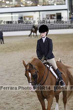 Proof Number 10r14_1006