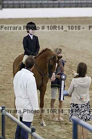 Proof Number 10r14_1018
