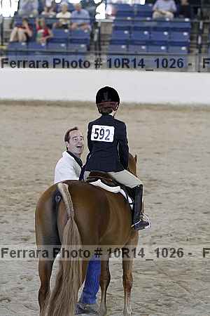 Proof Number 10r14_1026