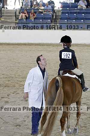 Proof Number 10r14_1033