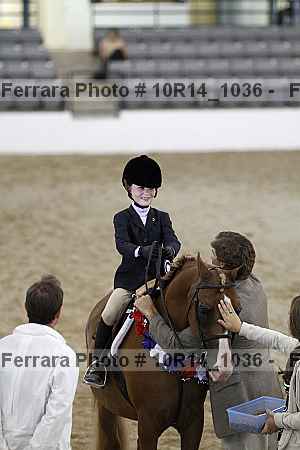 Proof Number 10r14_1036