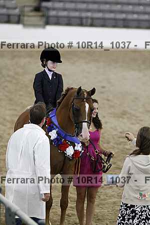 Proof Number 10r14_1037