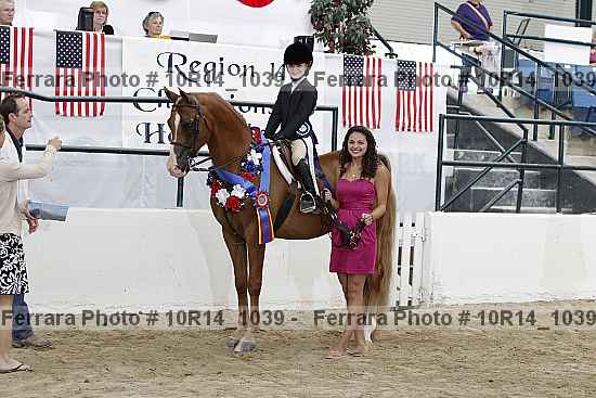 Proof Number 10r14_1039