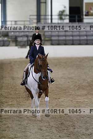 Proof Number 10r14_1045