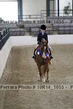 Proof Number 10r14_1055