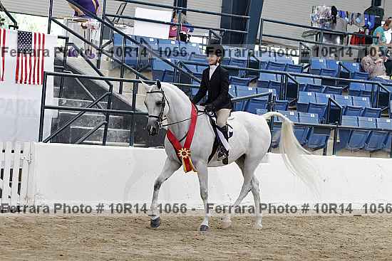 Proof Number 10r14_1056