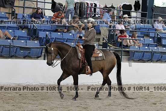 Proof Number 10r14_1066