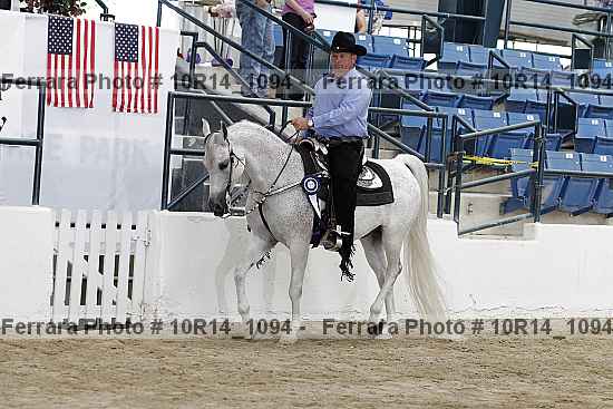 Proof Number 10r14_1094