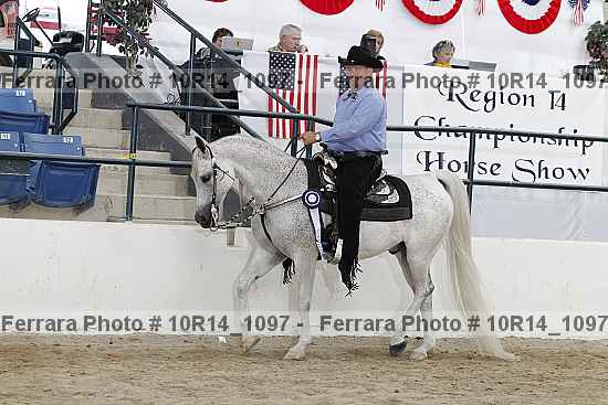 Proof Number 10r14_1097