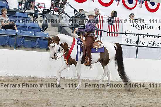 Proof Number 10r14_1111