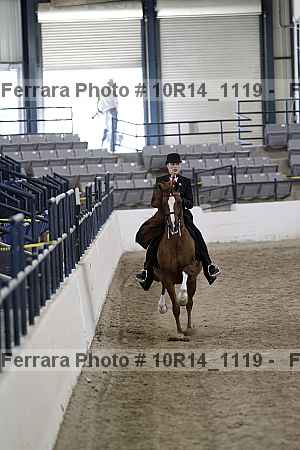 Proof Number 10r14_1119