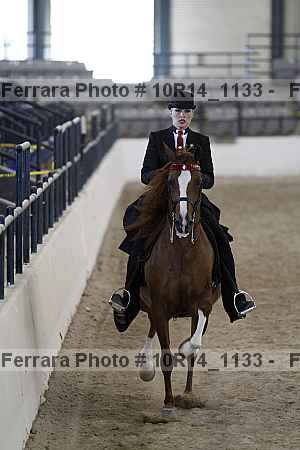 Proof Number 10r14_1133