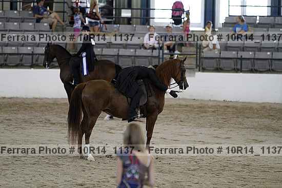 Proof Number 10r14_1137