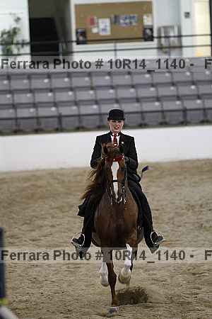 Proof Number 10r14_1140