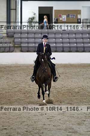 Proof Number 10r14_1146