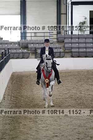 Proof Number 10r14_1152