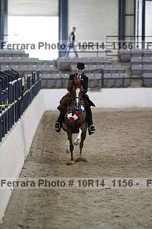 Proof Number 10r14_1156