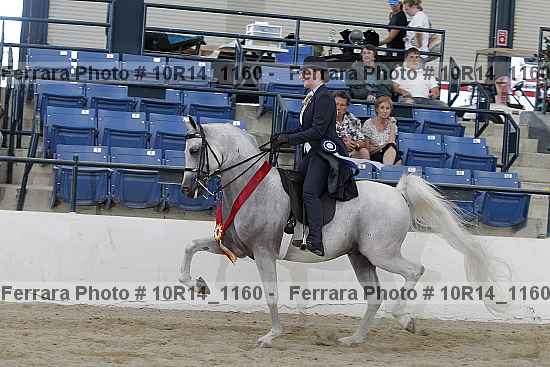Proof Number 10r14_1160