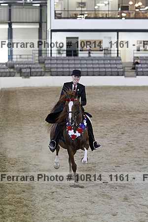 Proof Number 10r14_1161