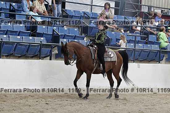 Proof Number 10r14_1169