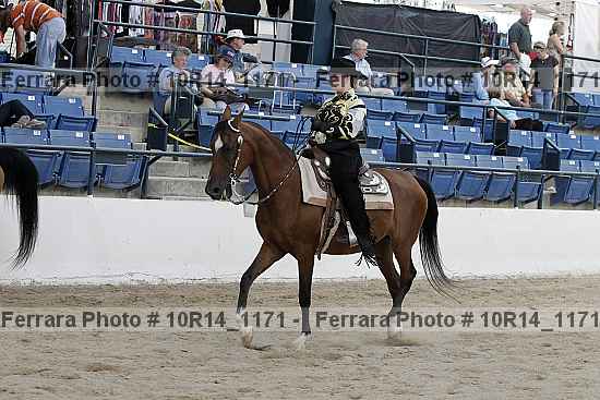 Proof Number 10r14_1171