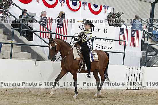 Proof Number 10r14_1196