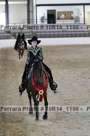Proof Number 10r14_1198