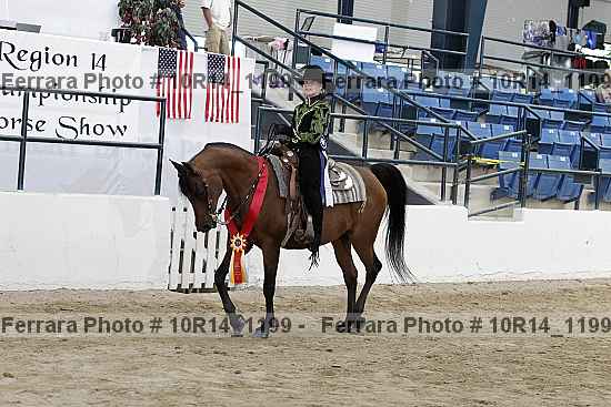 Proof Number 10r14_1199
