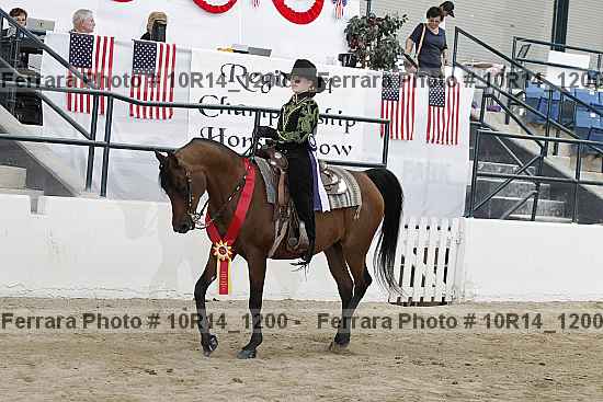 Proof Number 10r14_1200