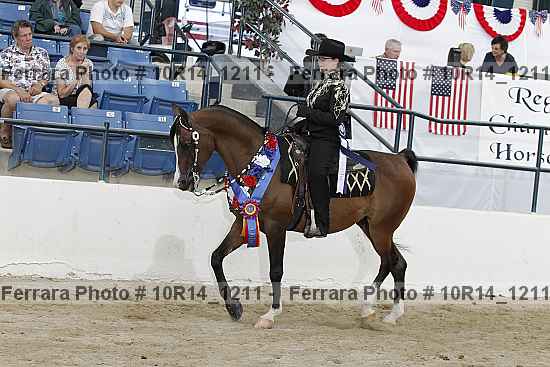Proof Number 10r14_1211