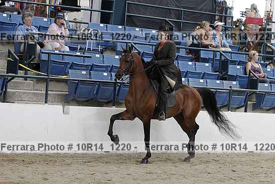 Proof Number 10r14_1220