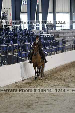 Proof Number 10r14_1244