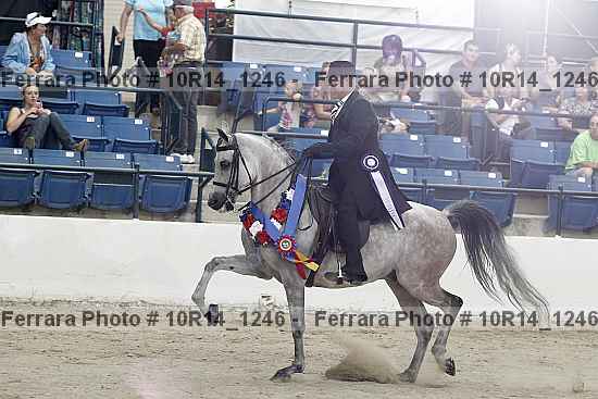 Proof Number 10r14_1246