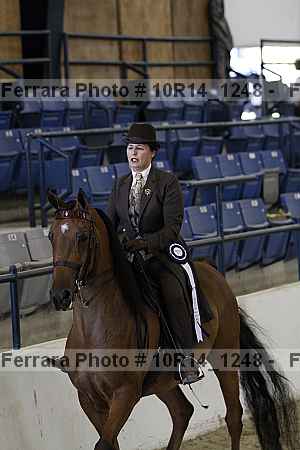 Proof Number 10r14_1248