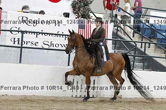 Proof Number 10r14_1249