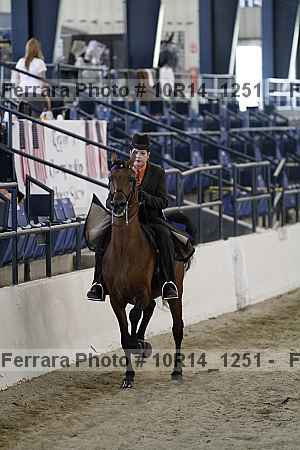 Proof Number 10r14_1251