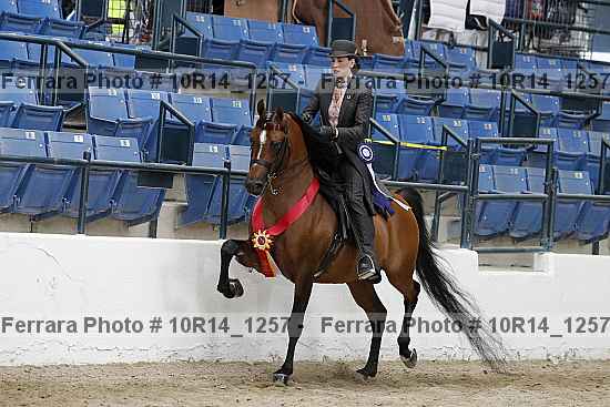 Proof Number 10r14_1257