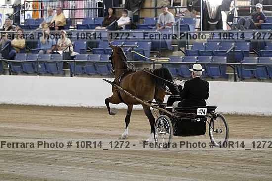Proof Number 10r14_1272
