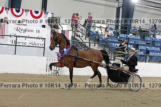 Proof Number 10r14_1279