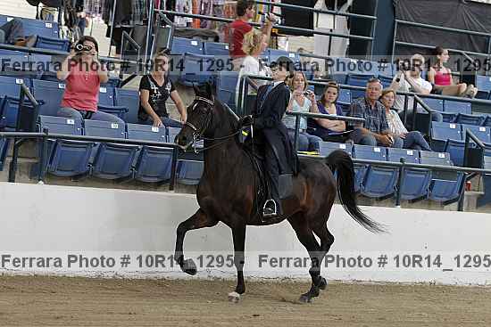 Proof Number 10r14_1295