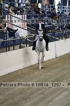 Proof Number 10r14_1297