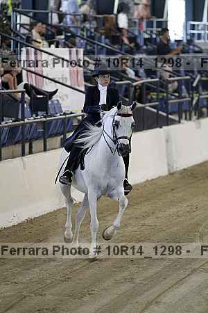 Proof Number 10r14_1298