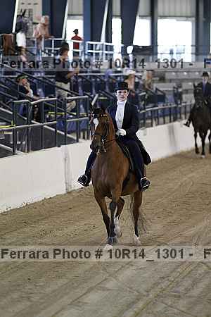Proof Number 10r14_1301
