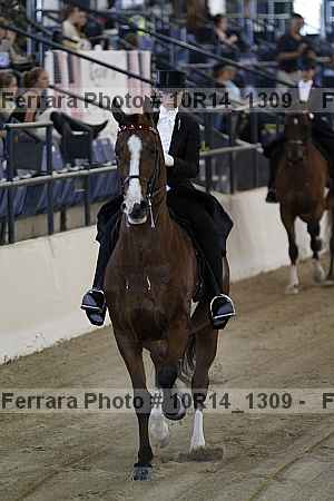 Proof Number 10r14_1309